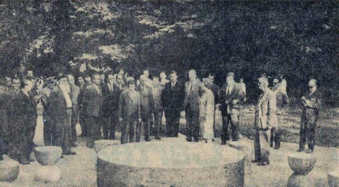 Gazeta Gorjului – Dezlegare la Brâncuși