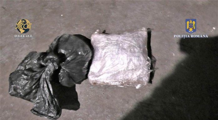 Motru, FOTO: Prins cu jumătate de kg de cannabis. A fost arestat preventiv