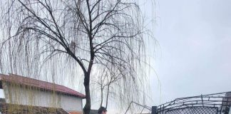 Ecologiștii PER Drăguțești au împărțit primii mărțișoare