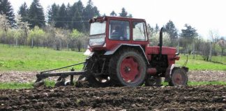 Agricultura pe înțelesul tuturor – Graficul lucrărilor agricole în luna martie