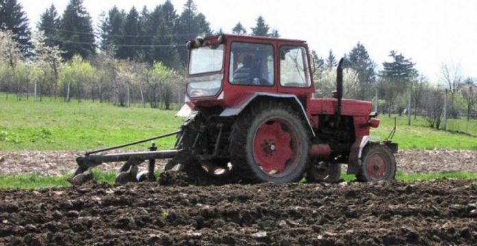 Agricultura pe înțelesul tuturor – Graficul lucrărilor agricole în luna martie