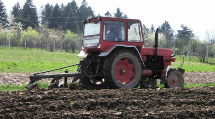 Agricultura pe înțelesul tuturor – Graficul lucrărilor agricole în luna martie