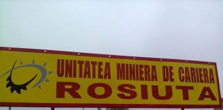 CEO caută autovehicule de transport marfă pentru Roșiuța