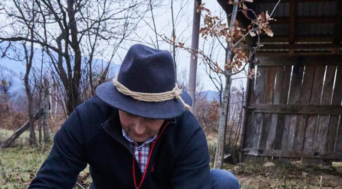 VIDEO: Rețeta săptămânii – Bucătăria lui Fabi: Friptură de vită, în țest, cu cartofi!