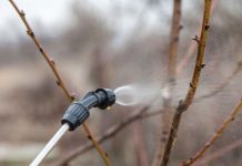 Agricultura pe înțelesul tuturor – Lucrări agricole în repausul vegetativ