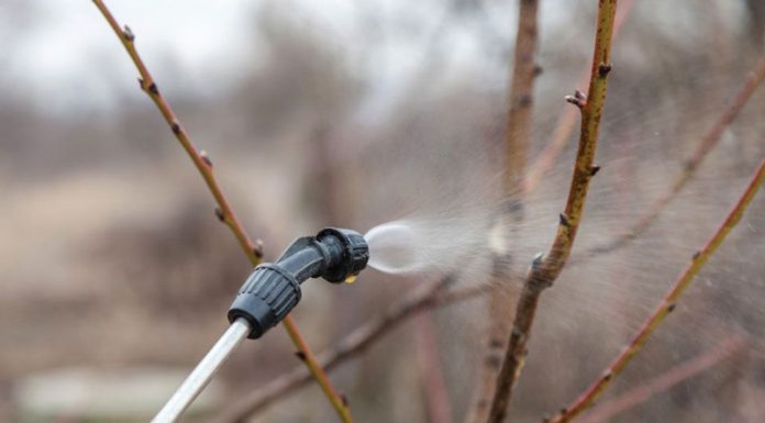 Agricultura pe înțelesul tuturor – Lucrări agricole în repausul vegetativ