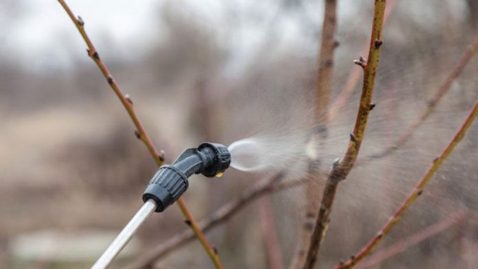 Agricultura pe înțelesul tuturor – Lucrări agricole în repausul vegetativ