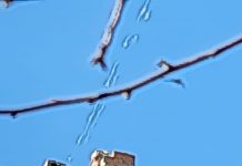 FOTO Târgu Jiu. Cutremur de 5,7 grade – Mai multe clădiri au fost avariate la Târgu Jiu