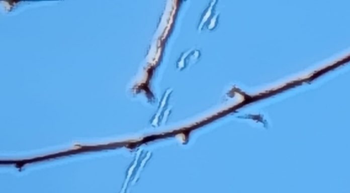 FOTO Târgu Jiu. Cutremur de 5,7 grade – Mai multe clădiri au fost avariate la Târgu Jiu