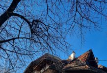 Clădirea publicației ,,Gorjeanul” – monument istoric – este grav afectată de cele două cutremure!