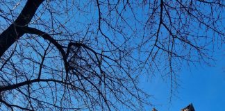 Clădirea publicației ,,Gorjeanul” – monument istoric – este grav afectată de cele două cutremure!