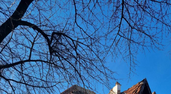 Clădirea publicației ,,Gorjeanul” – monument istoric – este grav afectată de cele două cutremure!