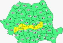 Cod galben de ninsori și viscol