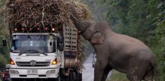 Educaţia…şi Lecţia de viaţă! – Privire analitică şi atentă asupra păcatului lăcomiei – Omul care se consideră bogat, crede că este şi nemuritor, crede că dacă are totul, din belşug, nu va mai muri!