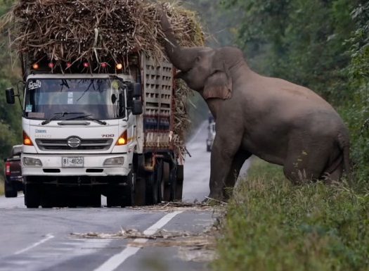 Educaţia…şi Lecţia de viaţă! – Privire analitică şi atentă asupra păcatului lăcomiei – Omul care se consideră bogat, crede că este şi nemuritor, crede că dacă are totul, din belşug, nu va mai muri!