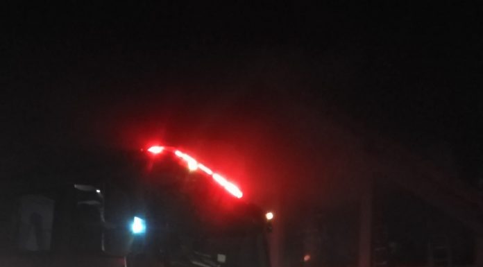 Gorj: Incendii de vegetație în trei localități