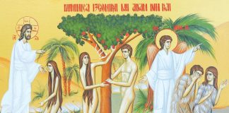 Viaţa Spirituală – Calea, Lumina, Adevărul şi Viaţa! – Dumnezeu ne-a înzestrat cu anumite calități spirituale, cu un suflet de care să ne îngrijim, fiindcă ne înnobilează și ne înfrumusețează sufletul numai valorile spirituale!