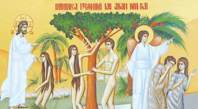Viaţa Spirituală – Calea, Lumina, Adevărul şi Viaţa! – Dumnezeu ne-a înzestrat cu anumite calități spirituale, cu un suflet de care să ne îngrijim, fiindcă ne înnobilează și ne înfrumusețează sufletul numai valorile spirituale!