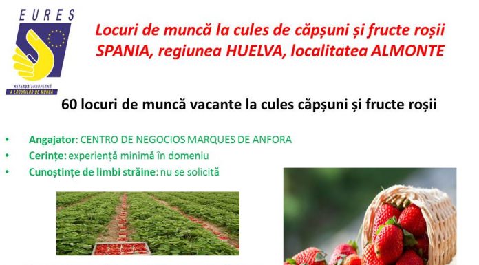 Locuri de muncă pentru gorjeni în Spania