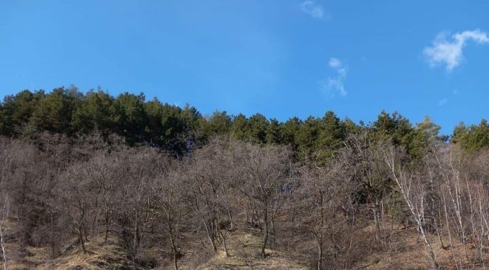 Proiect ERASMUS+ la Liceul cu Program Sportiv Târgu Jiu