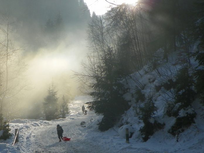 „Randonee” pe Jiul de Sus