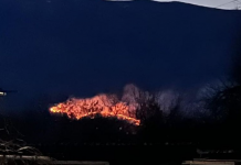 Incendiul de la Runcu s-a întins pe 40 de hectare