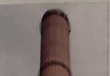 Gazeta Gorjului – Orașul cu cele mai multe Muzee