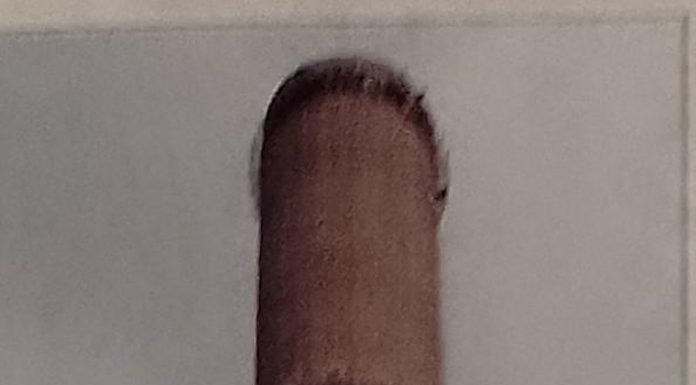 Gazeta Gorjului – Orașul cu cele mai multe Muzee