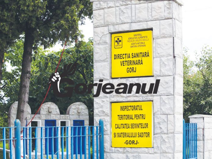 Medici veterinari amendați cu 10.000 lei