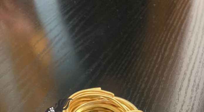 Bijuterie rară, descoperită la Prigoria. Poate fi o brățară dacică!