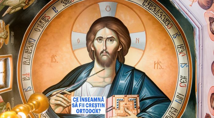 Educaţia…şi Lecţia de viaţă! – Ortodoxia salvează România – Despre cosubstanţialitatea dintre Biserica Ortodoxă şi Naţiunea Română!