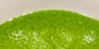 Rețeta săptămânii – Cooking Adventures In The Nature: Pesto de leurdă