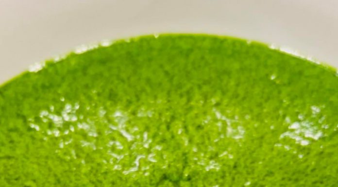 Rețeta săptămânii – Cooking Adventures In The Nature: Pesto de leurdă