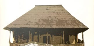 Semnal: Albumul liric – ”Vis cu Pasărea Brâncuși”, autori poetul Nicolae Dragoș și pictorul Florin Preda-Dochinoiu