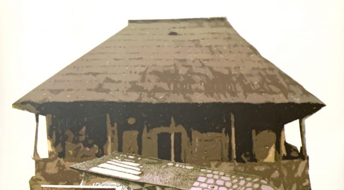 Semnal: Albumul liric – ”Vis cu Pasărea Brâncuși”, autori poetul Nicolae Dragoș și pictorul Florin Preda-Dochinoiu