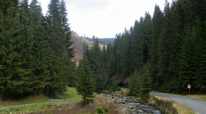 Cele două Bistriţe de pe Plaiul Oltean