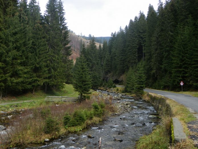 Cele două Bistriţe de pe Plaiul Oltean