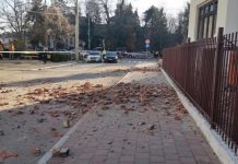 Câte dosare de daună a achitat Euroins după cutremurele din Gorj