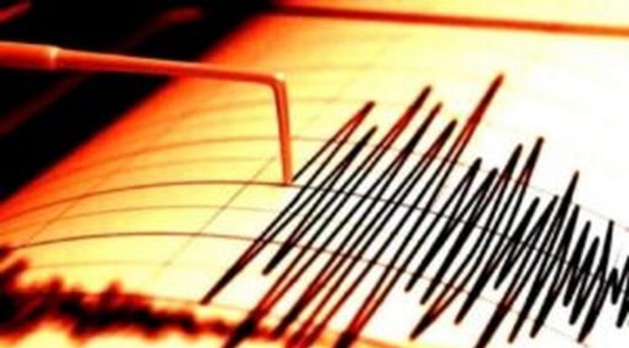 Cutremur de 4,3 în Vrancea
