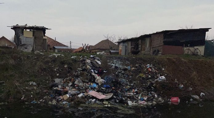 Amenzi pentru abandonarea deșeurilor pe o stradă din Târgu-Jiu