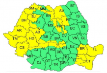 Cod galben de îngheț