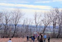 Romsilva va planta 20 de milioane de puieţi forestieri