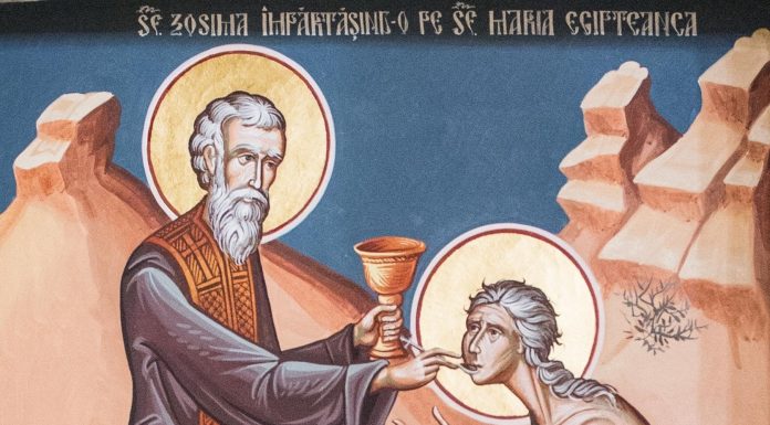 Viaţa Spirituală – Calea, Lumina, Adevărul şi Viaţa! – Dumnezeu ne arată că oricât de jos am cădea, ne putem ridica numai cu ajutorul Său, prin încercări ale vieţii, întotdeauna punându-ni-se înainte aceeaşi sfântă răsplată!