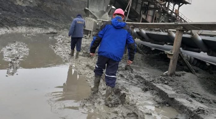 Salariații CEO încep, de astăzi, să-și primească primele de sărbători