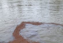 Poluare accidentală pe râul Jiu