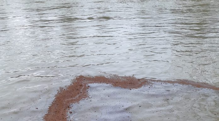 Poluare accidentală pe râul Jiu