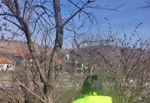 Amenzi date de Garda de Mediu la Budieni