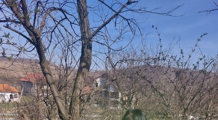 Amenzi date de Garda de Mediu la Budieni