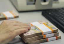 Măsuri pentru angajați – Taxele pe muncă ar putea fi reduse