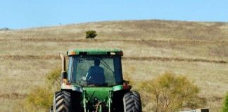 Scandal între vecini încheiat cu o condamnare